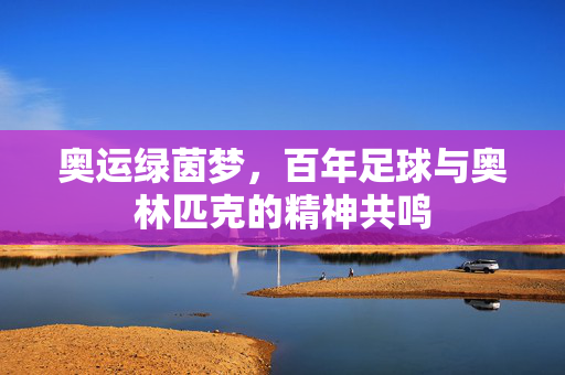 奥运绿茵梦，百年足球与奥林匹克的精神共鸣