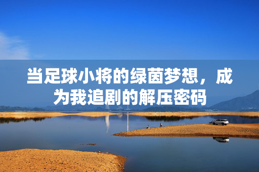 当足球小将的绿茵梦想，成为我追剧的解压密码