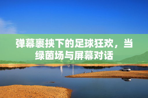 弹幕裹挟下的足球狂欢，当绿茵场与屏幕对话