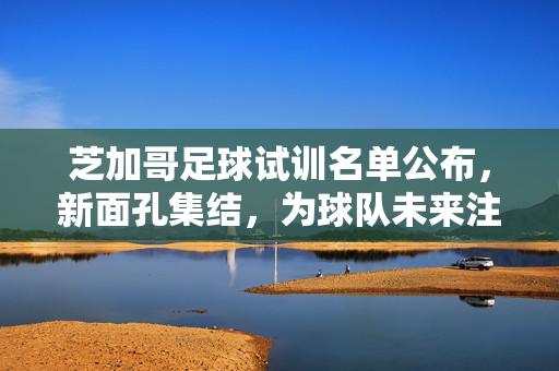 芝加哥足球试训名单公布，新面孔集结，为球队未来注入新活力，芝加哥足球试训名单公布，新面孔集结，为球队未来注入新活力