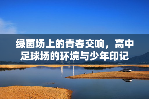 绿茵场上的青春交响，高中足球场的环境与少年印记