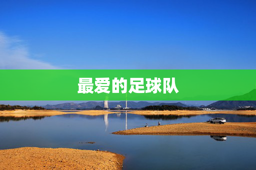 最爱的足球队