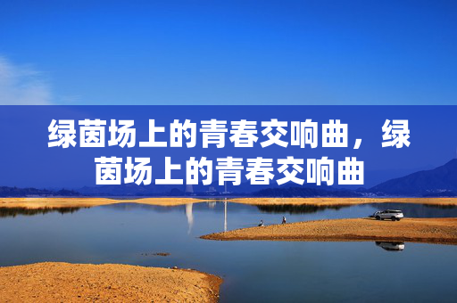 绿茵场上的青春交响曲，绿茵场上的青春交响曲