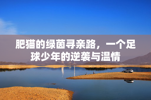 肥猫的绿茵寻亲路，一个足球少年的逆袭与温情