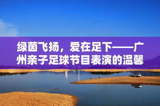绿茵飞扬，爱在足下——广州亲子足球节目表演的温馨与激情，绿茵飞扬，爱在足下——广州亲子足球节目表演的温馨与激情