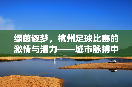 绿茵逐梦，杭州足球比赛的激情与活力——城市脉搏中的足球交响