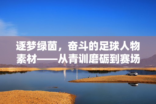 逐梦绿茵，奋斗的足球人物素材——从青训磨砺到赛场拼搏，他们用汗水书写荣耀