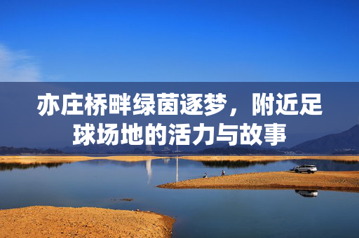 亦庄桥畔绿茵逐梦，附近足球场地的活力与故事