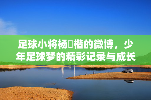 足球小将杨镕楷的微博，少年足球梦的精彩记录与成长轨迹，足球小将杨镕楷微博，少年足球梦的精彩记录与成长轨迹