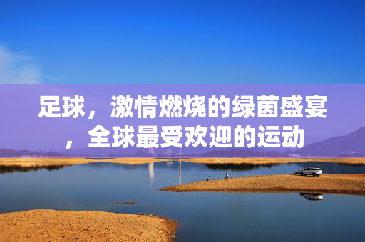 足球，激情燃烧的绿茵盛宴，全球最受欢迎的运动