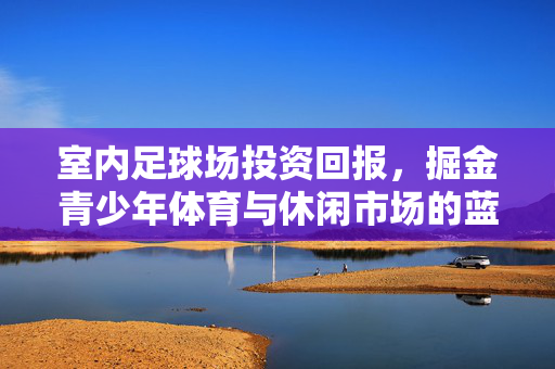 室内足球场投资回报，掘金青少年体育与休闲市场的蓝海机遇——从建设成本到收益模型的深度解析，室内足球场投资回报，掘金青少年体育与休闲市场的蓝海机遇——从建设成本到收益模型的深度解析