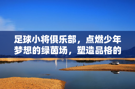 足球小将俱乐部，点燃少年梦想的绿茵场，塑造品格的青春课堂