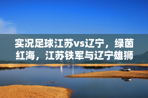 实况足球江苏vs辽宁，绿茵红海，江苏铁军与辽宁雄狮的激烈交锋