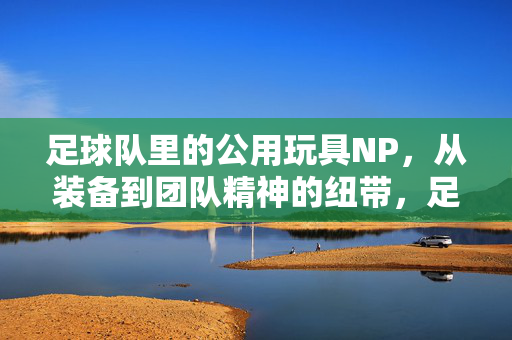 足球队里的公用玩具NP，从装备到团队精神的纽带，足球队里的公用玩具NP，从装备到团队精神的纽带