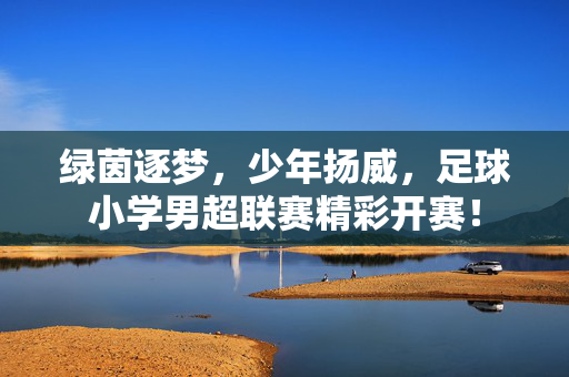 绿茵逐梦，少年扬威，足球小学男超联赛精彩开赛！