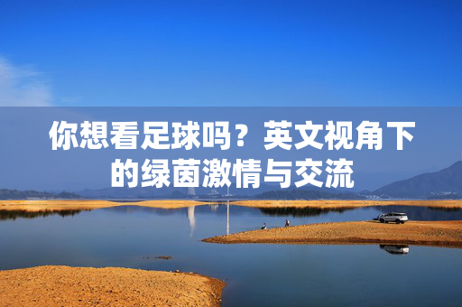 你想看足球吗？英文视角下的绿茵激情与交流