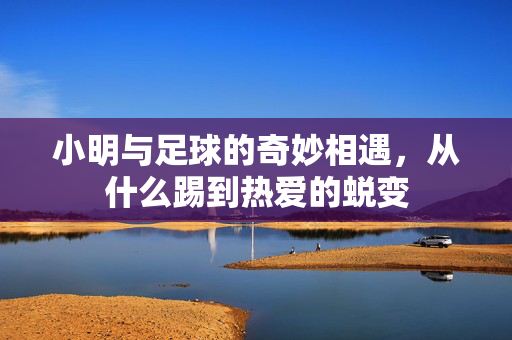 小明与足球的奇妙相遇，从什么踢到热爱的蜕变