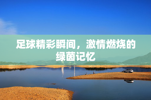 足球精彩瞬间，激情燃烧的绿茵记忆