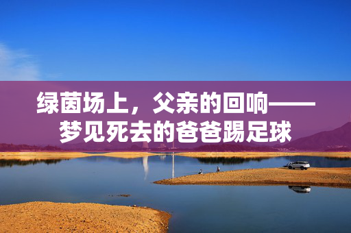 绿茵场上，父亲的回响——梦见死去的爸爸踢足球