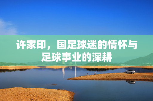 许家印，国足球迷的情怀与足球事业的深耕