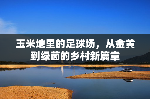 玉米地里的足球场，从金黄到绿茵的乡村新篇章