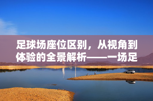 足球场座位区别，从视角到体验的全景解析——一场足球盛宴中的座位经济学