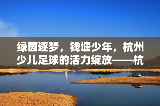 绿茵逐梦，钱塘少年，杭州少儿足球的活力绽放——杭州少儿足球发展现状与未来展望