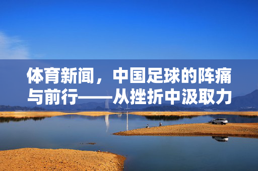 体育新闻，中国足球的阵痛与前行——从挫折中汲取力量，共筑振兴新篇章