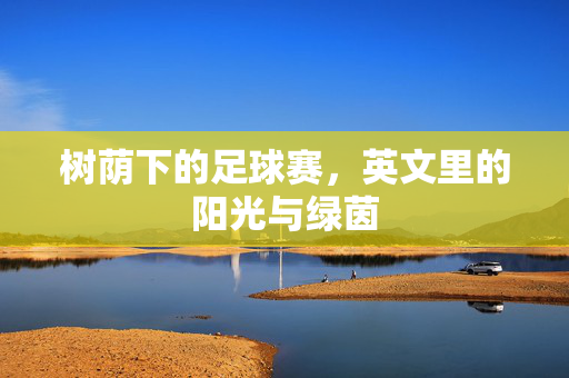 树荫下的足球赛，英文里的阳光与绿茵
