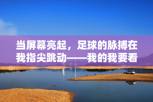 当屏幕亮起,足球的脉搏在我指尖跳动——我的我要看那个足球游戏之旅