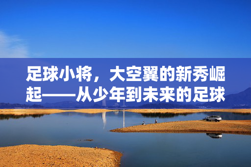 足球小将，大空翼的新秀崛起——从少年到未来的足球之星
