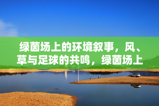绿茵场上的环境叙事，风、草与足球的共鸣，绿茵场上的环境叙事，风、草与足球的共鸣