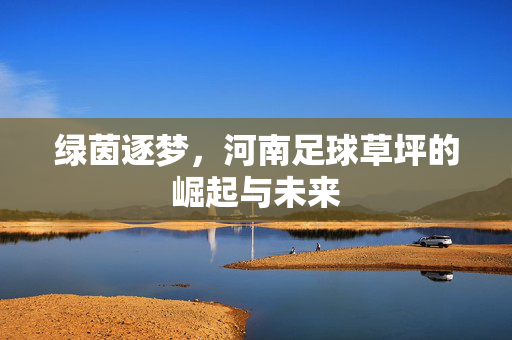 绿茵逐梦，河南足球草坪的崛起与未来