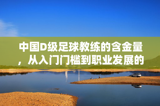 中国D级足球教练的含金量，从入门门槛到职业发展的关键价值解析