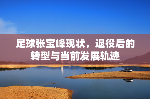足球张宝峰现状，退役后的转型与当前发展轨迹
