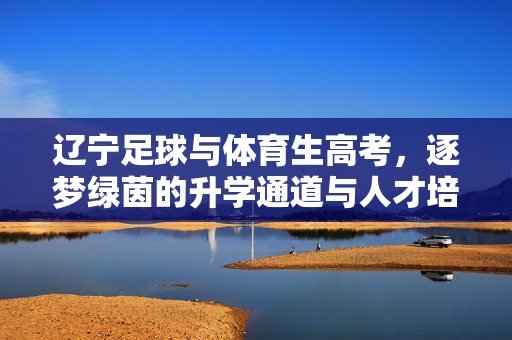 辽宁足球与体育生高考，逐梦绿茵的升学通道与人才培养新路径