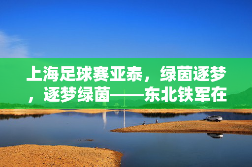 上海足球赛亚泰，绿茵逐梦，逐梦绿茵——东北铁军在上海的拼搏与风采