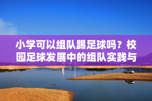 小学可以组队踢足球吗？校园足球发展中的组队实践与建议