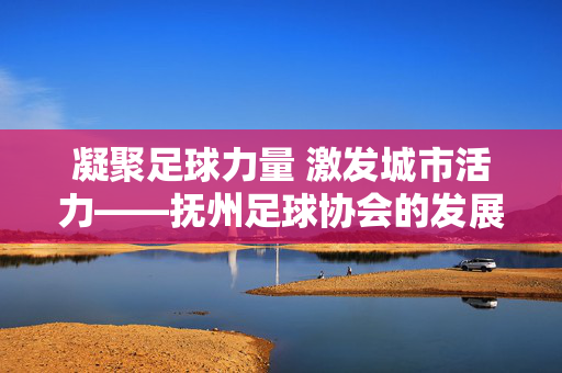 凝聚足球力量 激发城市活力——抚州足球协会的发展与贡献
