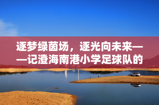 逐梦绿茵场，逐光向未来——记澄海南港小学足球队的成长故事，逐梦绿茵场，逐光向未来——记澄海南港小学足球队的成长故事