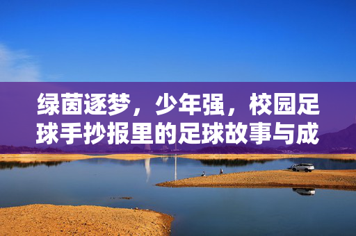 绿茵逐梦，少年强，校园足球手抄报里的足球故事与成长启示，绿茵逐梦少年强，校园足球手抄报里的足球故事与成长启示