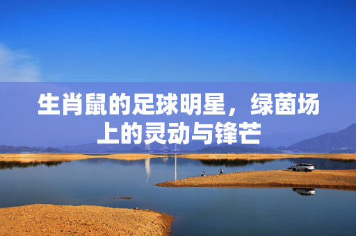 生肖鼠的足球明星，绿茵场上的灵动与锋芒