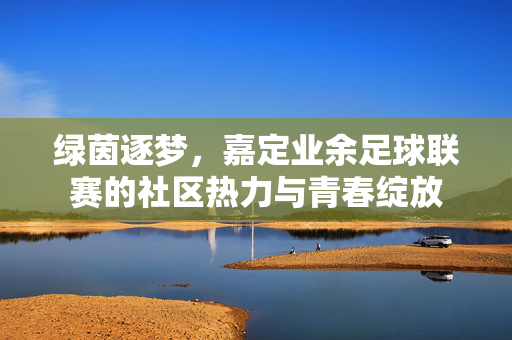 绿茵逐梦，嘉定业余足球联赛的社区热力与青春绽放