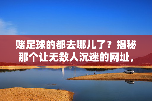 赌足球的都去哪儿了？揭秘那个让无数人沉迷的网址，你敢点吗？