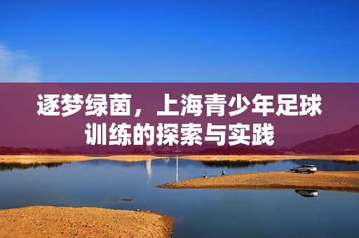 逐梦绿茵，上海青少年足球训练的探索与实践