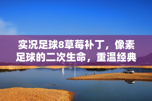 实况足球8草莓补丁，像素足球的二次生命，重温经典赛场的热血