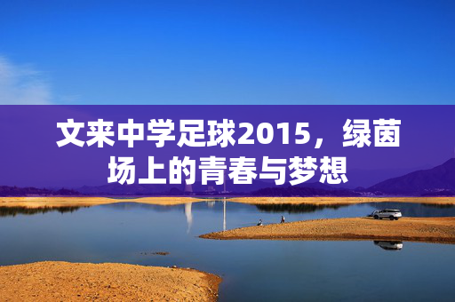 文来中学足球2015，绿茵场上的青春与梦想