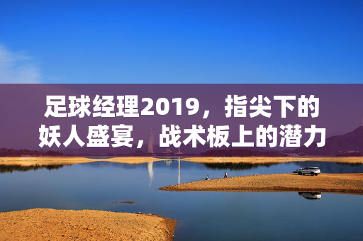 足球经理2019，指尖下的妖人盛宴，战术板上的潜力奇迹——从潜力新星到战术奇兵的蜕变之路