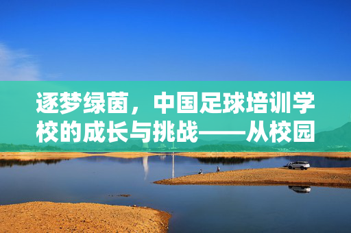 逐梦绿茵，中国足球培训学校的成长与挑战——从校园到职业的足球人才培养之路