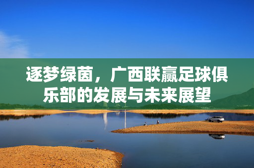 逐梦绿茵，广西联赢足球俱乐部的发展与未来展望